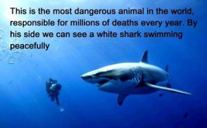 544206_563083323710745_452578452_n