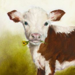 calf