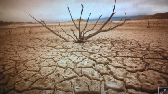 WP_20180301_09_11_07_Pro